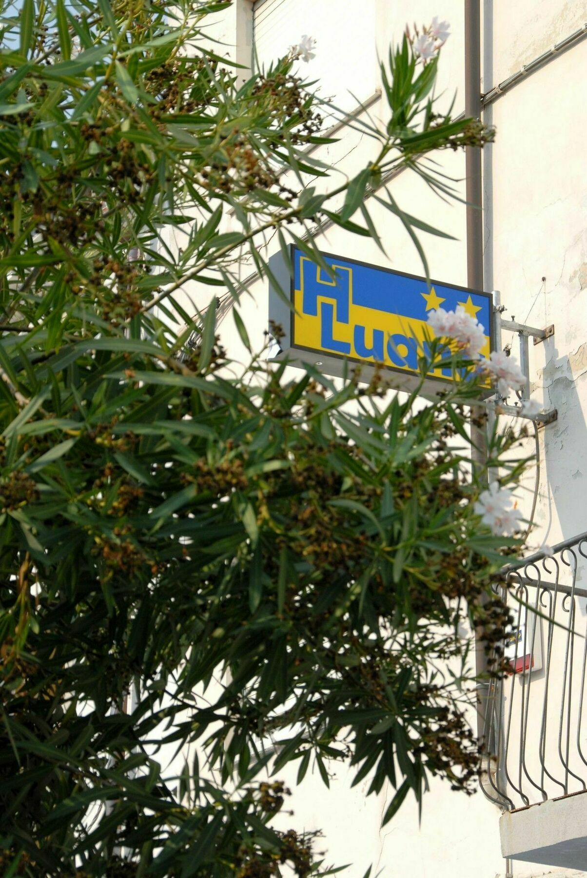 Hotel Luana Viareggio Exterior photo